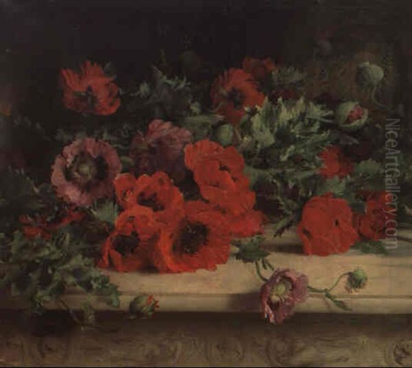 Poppies Oil Painting by William Jabez Muckley