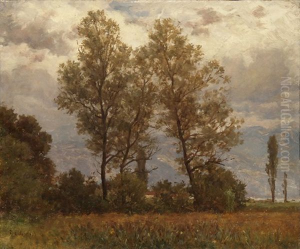 Innerschweizer Landschaft Oil Painting by Jost Muheim