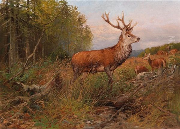 Red Deer On The Lookout Oil Painting by Albert Ernst Muehlig