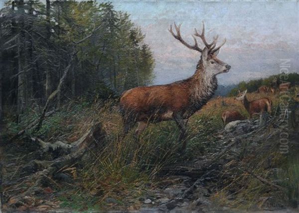 Sichernder Rothirsch Oil Painting by Albert Ernst Muehlig