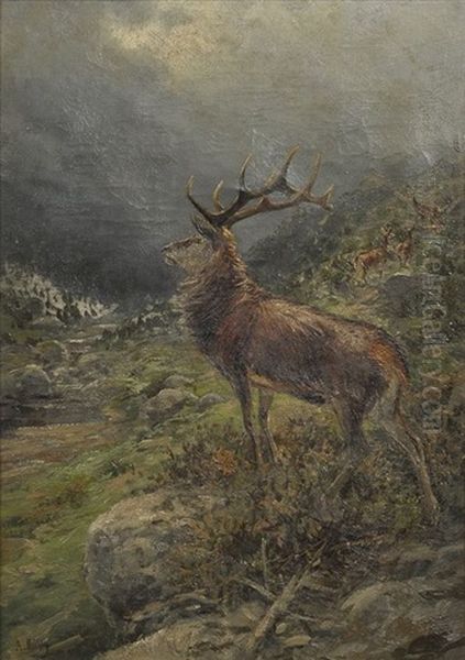 Gebirgslandschaft, Im Vordergrund Rothirsch, Im Hintergrund 4 Hirschkuhe Oil Painting by Albert Ernst Muehlig