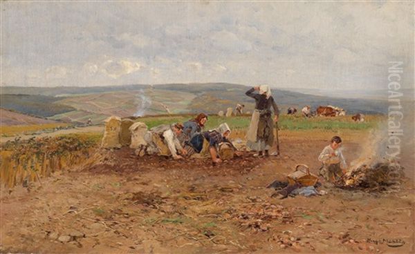 Die Kartoffelernte Oil Painting by Hugo Muehlig