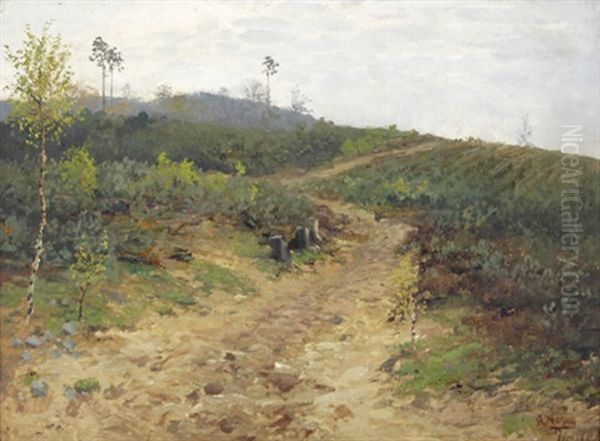 Aus Der ... Heide, Birkenbestandener Feldweg Oil Painting by Hugo Muehlig