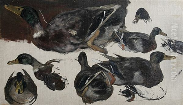 Enten Oil Painting by Hugo Muehlig