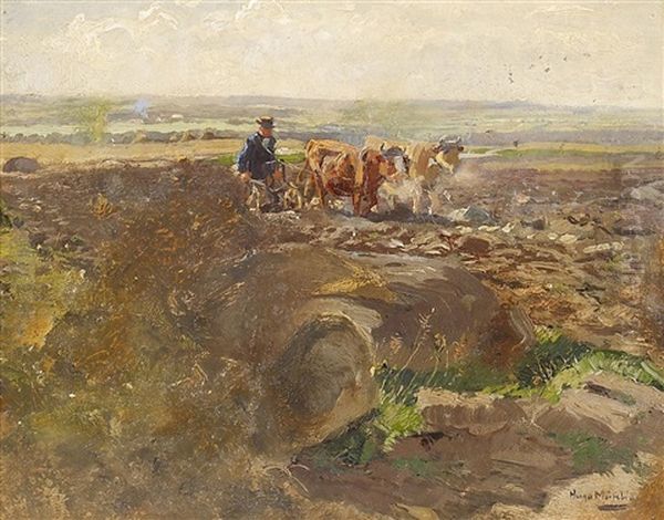 Bauer Mit Seinem Ochsengespann Beim Pflugen Oil Painting by Hugo Muehlig