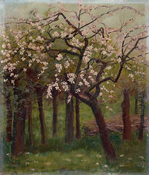 Bluhende Apfelbaume Oil Painting by Hugo Muehlig