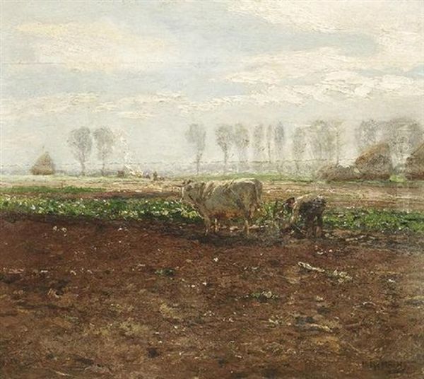 Feldbestellung Bei Nierst Am Niederrhein. Bauer Mit Seinem Ochsen Vor Dem Pflug Oil Painting by Hugo Muehlig