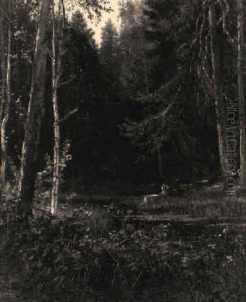 Ein Rehbock An Einem Weiher Im Wald Oil Painting by Hugo Muehlig