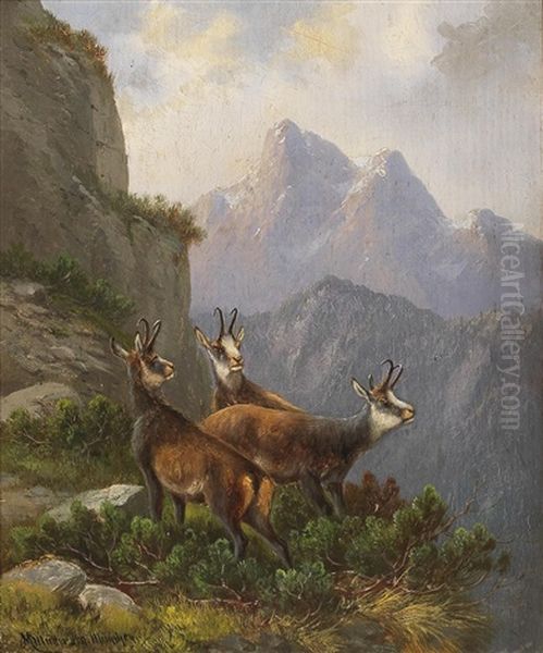 Chamois In The High Mountains Oil Painting by Moritz Mueller the Elder