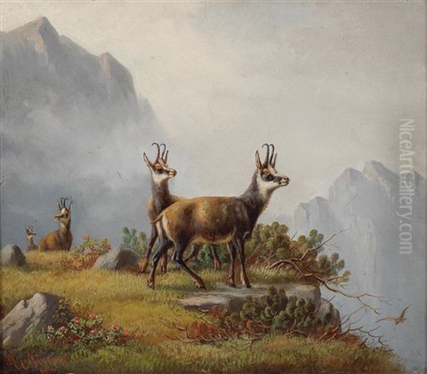 Gemsen Im Hochgebirge Oil Painting by Moritz Mueller the Elder