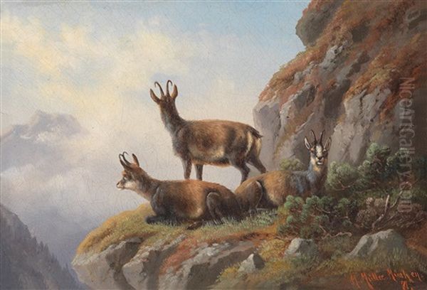 Gamsen Im Hochgebirge Oil Painting by Moritz Mueller the Elder