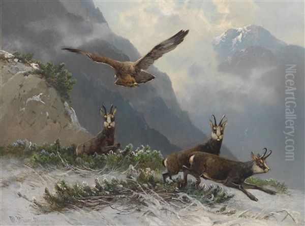 Gamsen Im Hochgebirge Oil Painting by Moritz Mueller the Elder