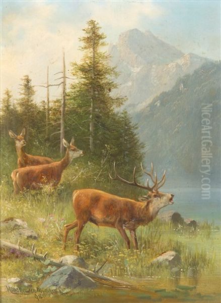 Hirsch Am Alpensee Mit Rehen Oil Painting by Moritz Mueller the Elder