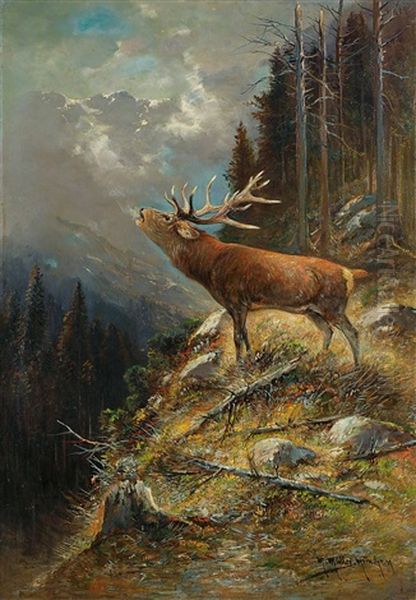 Rohrender Hirsch Im Hochgebirge Oil Painting by Moritz Mueller the Elder