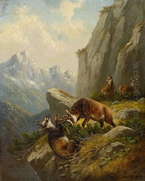 Kampfende Gamsen Im Hochgebirge Oil Painting by Moritz Mueller the Elder