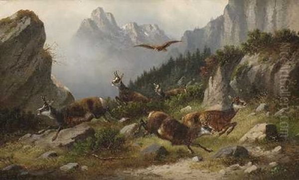 Gamsen Im Hochgebirge Oil Painting by Moritz Mueller the Elder