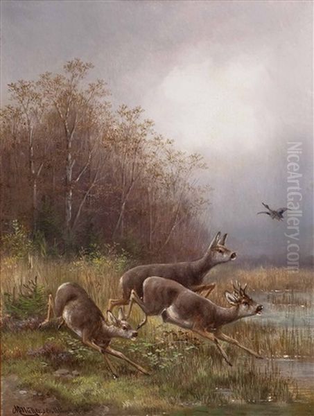 Aufgeschrecktes Rotwild Und Wildente Am Seeufer Oil Painting by Moritz Mueller the Elder