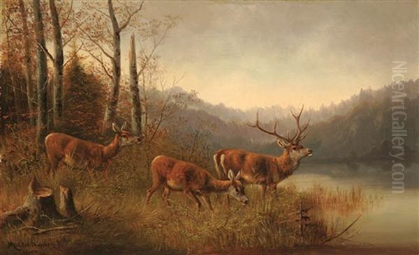 Deer On River Bank Oil Painting by Moritz Mueller the Elder