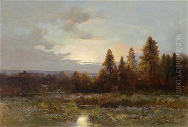 Enten In Aulandschaft Bei Morgendammerung Oil Painting by Moritz Mueller the Elder