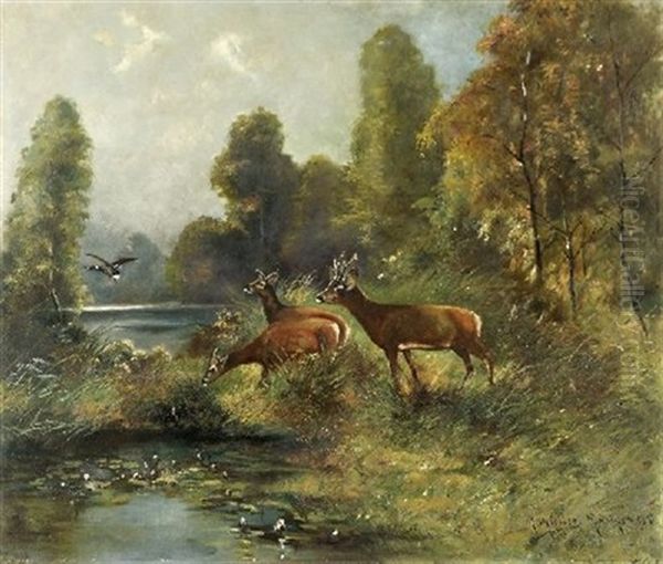 Damwild Oil Painting by Moritz Mueller the Elder