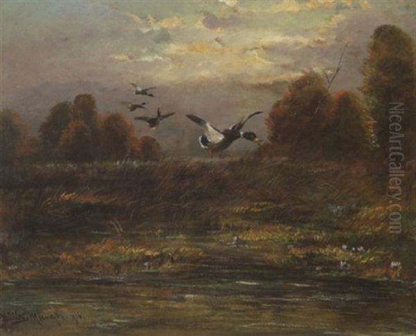 Auffliegende Enten Oil Painting by Moritz Mueller the Elder