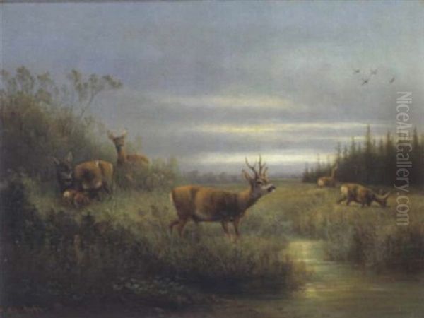 Rotwildrudel Im Abendlicht An Der Tranke Oil Painting by Moritz Mueller the Elder