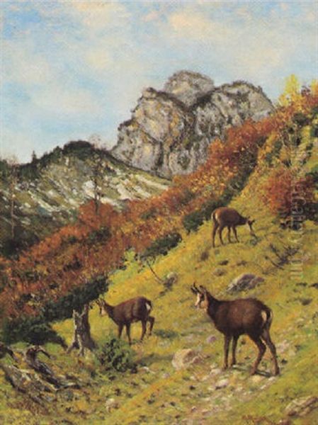 Gemsen Im Hochgebirge by Moritz Mueller the Elder