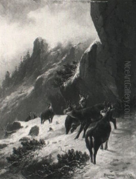 Gamsrudel Im Verschneiten Hochgebirge Oil Painting by Moritz Mueller the Elder