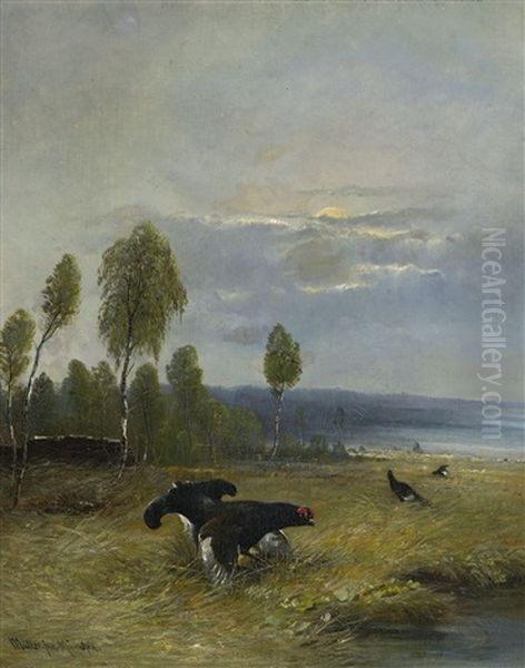 Birkhahnbalz Im Moor Oil Painting by Moritz Mueller the Younger