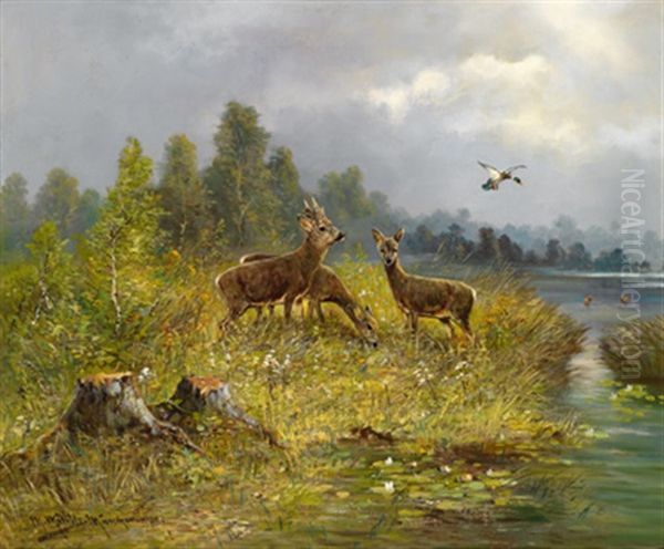 Rehwild Am Seeufer Oil Painting by Moritz Mueller the Younger