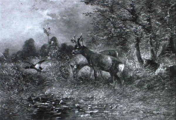 Rehe Und Erpel Im Wiesengrund Oil Painting by Moritz Mueller the Younger