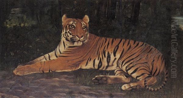 Tiger by Archibald Herman Muller