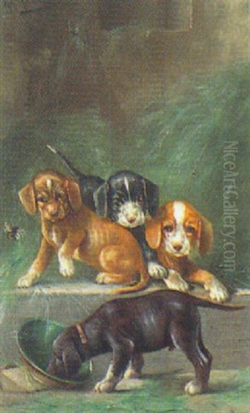 Spielende Hundewelpen Oil Painting by August Mueller