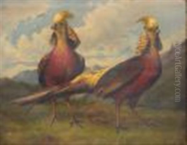 Two Pheasants Oil Painting by Bertha Mueller