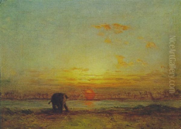 Elefant Am Flusufer Oil Painting by Carl Leopold Mueller