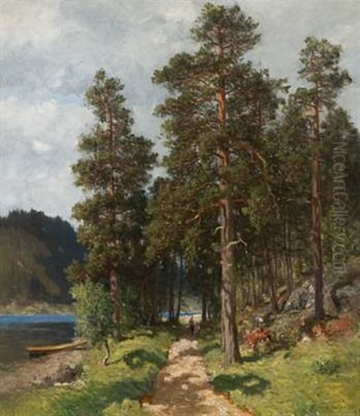 Furuer Ved Skogssti Oil Painting by Morten Mueller