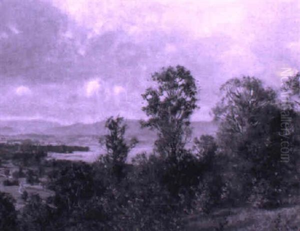 Bewaldeter Hugelzug Uber Dem Murtensee Oil Painting by Rudolf Mueller