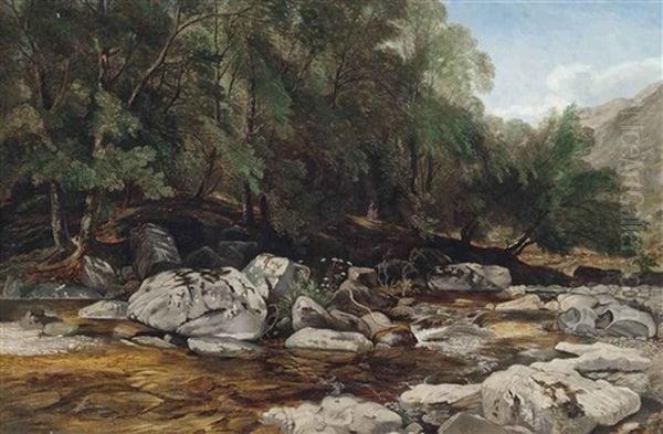 Winding Stream, Near Lynmouth Oil Painting by William James Mueller