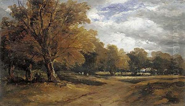 A Wooded Landscape With Sheep Oil Painting by William James Mueller