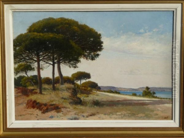 Presqu'ile De Giens Oil Painting by Lina Bill