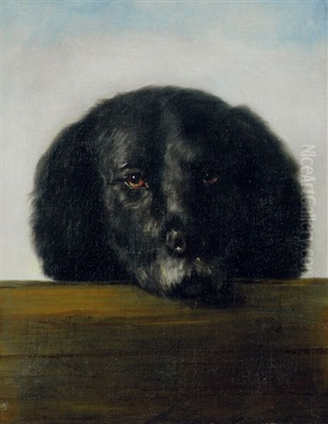 Der Schwarze (der Hund Des Kunstlers) Oil Painting by Richard Mueller