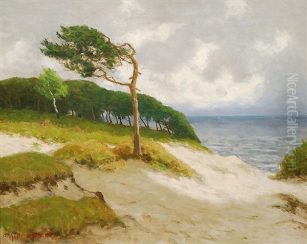 Coast Of The Baltic Sea Near Ahrenshoop Oil Painting by Paul Mueller-Kaempff