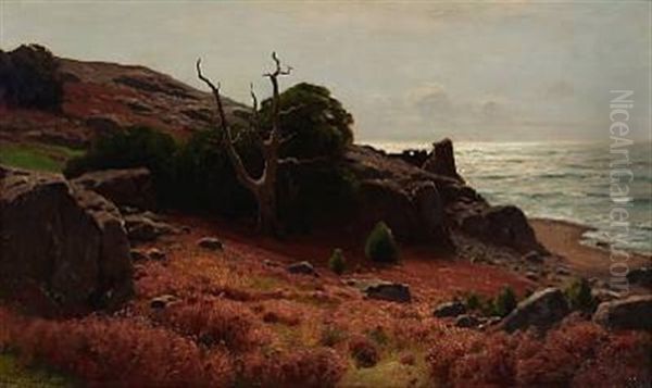 Late Summer At The Swedish Coast Oil Painting by Konrad Alexander Mueller-Kurzwelly