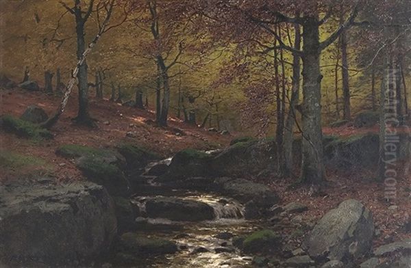 Stream In The Forest Oil Painting by Konrad Alexander Mueller-Kurzwelly