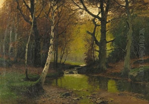 Forest Stream Oil Painting by Konrad Alexander Mueller-Kurzwelly