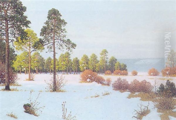 Winterlandschaft Oil Painting by Fritz Mueller-Landeck