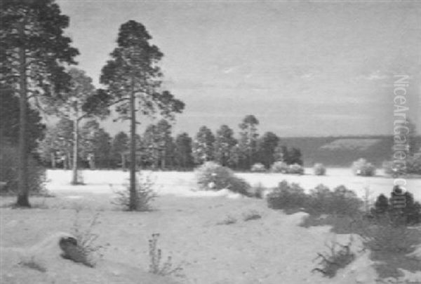 Winterlandschaft Oil Painting by Fritz Mueller-Landeck