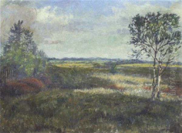 Moorlandschaft Mit Wollgras Und Jungen Birken Oil Painting by Ernst Mueller-Scheessel