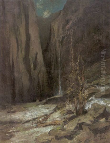 Halsenschlucht Oil Painting by Anton Mueller-Wischin