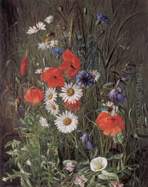 Voksende Valmuer, Kornblomster, Klokkeblomst Og Margueritter Oil Painting by Emma Mulvad